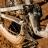 Norco Shore Rampage22 07
